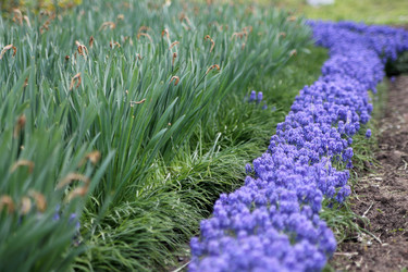 Similar image 21760345