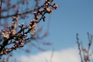 Similar image 21760346