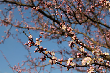 Similar image 21760290