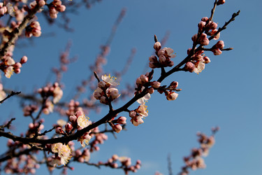 Similar image 21760291