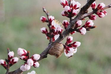 Similar image 21760292