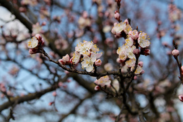 Similar image 21760293