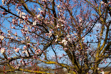 Similar image 21760294