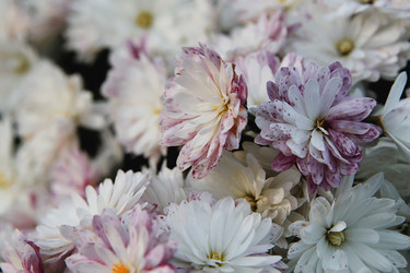 Similar image 21760295