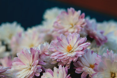 Similar image 21760316