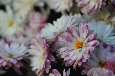 Similar image 21760317