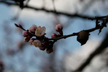 Similar image 21760318