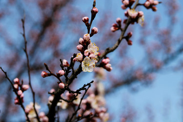 Similar image 21760319