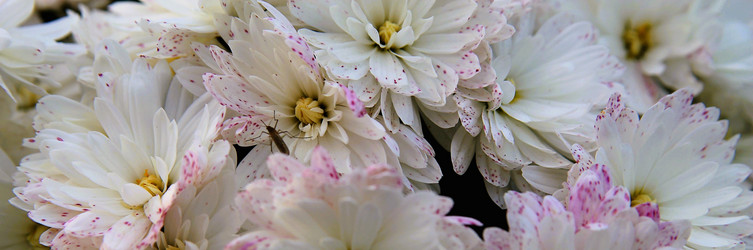 Similar image 21760320