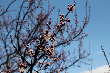 Similar image 21760321