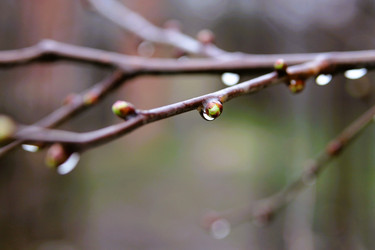 Similar image 21760322