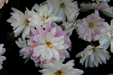 Similar image 21760324