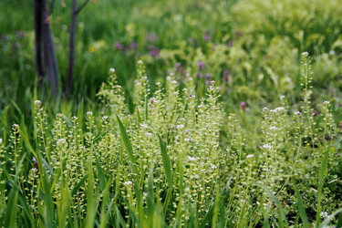 Similar image 21760327