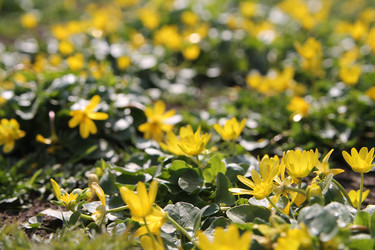 Similar image 21760329