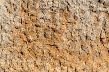 Similar image 21755440