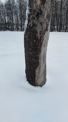 Similar image 21758598