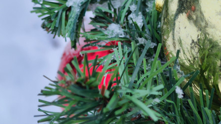 Similar image 21758600