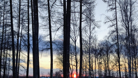 Similar image 21758601