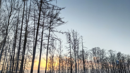 Similar image 21758603