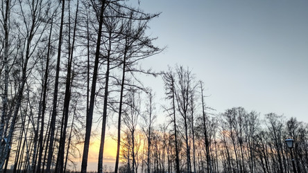 Similar image 21758604