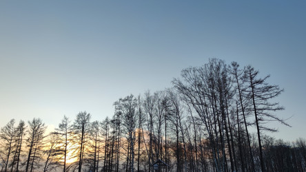 Similar image 21758605