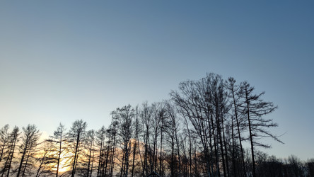 Similar image 21758606