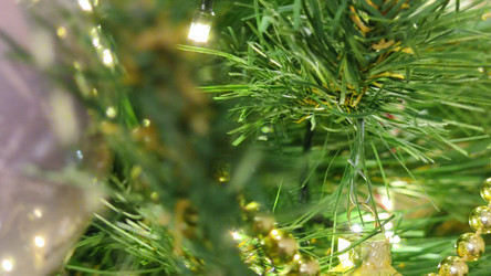 Similar image 21758618