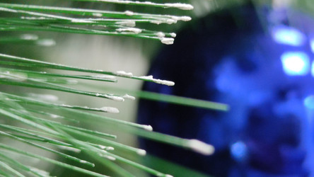 Similar image 21758625