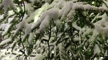 Similar image 21758897