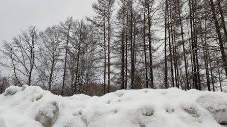 Similar image 21758901