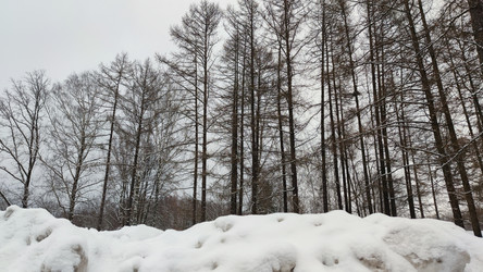 Similar image 21758902