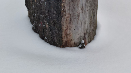 Similar image 21758908