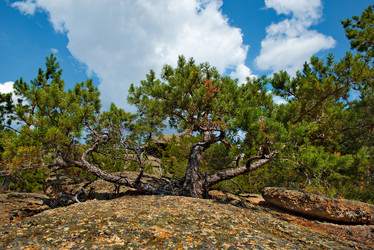 Similar image 21758929