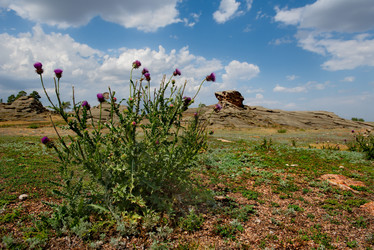 Similar image 21758944