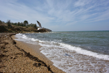 Similar image 21753544