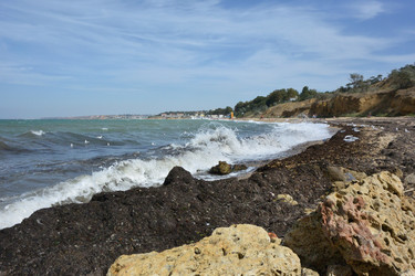 Similar image 21753545