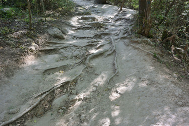 Similar image 21753555