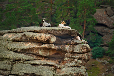 Similar image 21758979