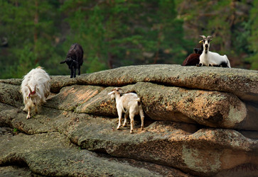 Similar image 21758981