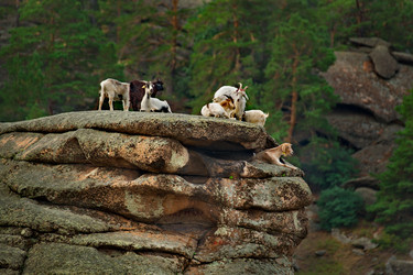 Similar image 21758982