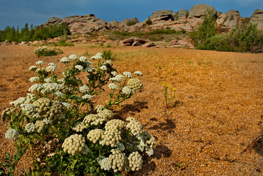 Similar image 21758991