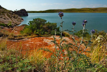 Similar image 21759008