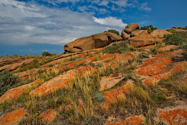 Similar image 21759011