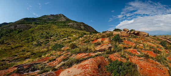 Similar image 21759014