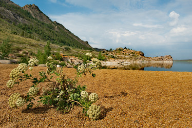 Similar image 21759029