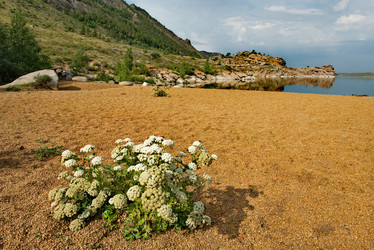 Similar image 21759034