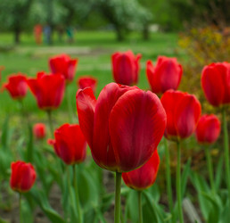 Similar image 21753579