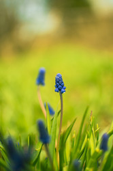 Similar image 21753580