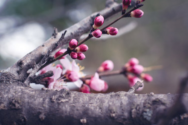 Similar image 21753581