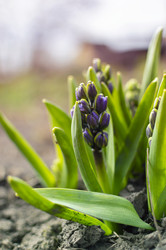 Similar image 21753583